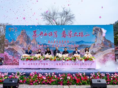 打造全景式赏花度假新体验，青岛大珠山杜鹃花会启幕