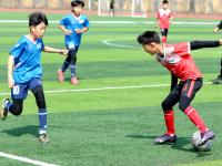 “市长杯”激战正酣！小学男子和女子甲组冠军组结束半决赛争夺