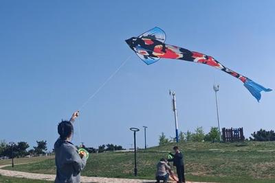 打卡春日好时光！青岛温馨巴士带您“追风逐暖”放纸鸢（附乘车攻略）