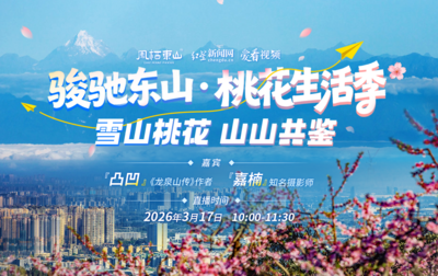 雪山桃花·山山共鉴