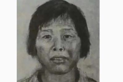 首次披露！专案组讲述“梅姨案”细节