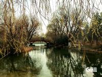 徜徉花海、泛舟湖上……城阳这处公园春光正好