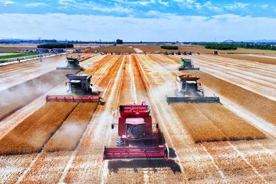 帮扶项目资产总量达31亿元！青岛：从“守底线”到“谋振兴”