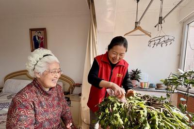 居家养老月补800元，青岛失能老人养老消费补贴“加码” 