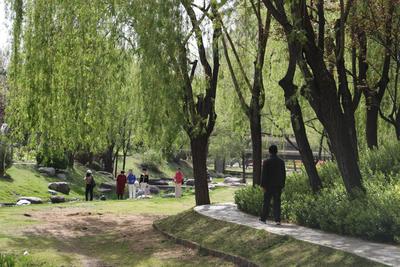 北方雪后放晴周末回暖，西南地区阴雨增多