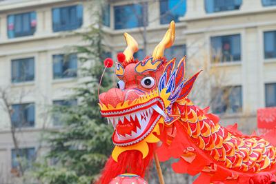 李沧：欢腾闹元宵，佳节话团圆