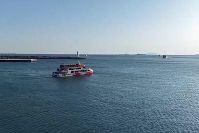 青岛海洋旅游为何受欢迎？从“橘子海”到“追鸥逐浪”，海洋旅游圈粉