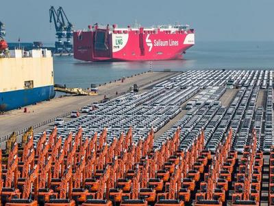 望岳谈｜在“最硬核的工业土壤”里， 种出“智能经济”大树