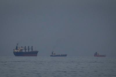 伊朗副外长：允许部分国家船只通过霍尔木兹海峡