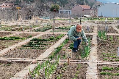 现实版“开心农场”火了！在青岛，周末种地成为解压和社交的新选择
