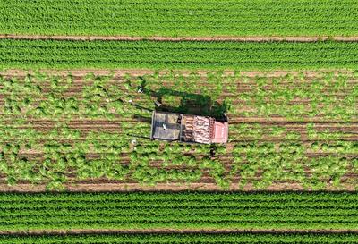 2026年山东省委一号文件发布