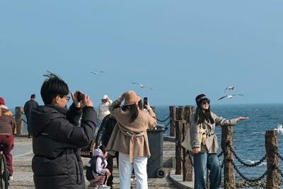 春光明媚引客来，金沙滩啤酒城海滨成休闲打卡地