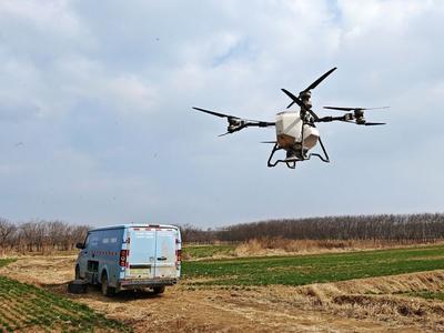 西海岸新区：农技专家下田“开方”助壮苗