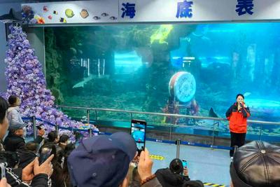 深海繁花中赴人鱼之约，青岛海底世界“女神月”梦幻来袭