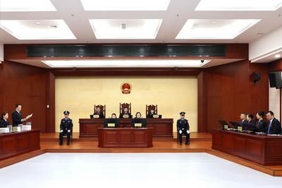 犯罪嫌疑人张青民贷款诈骗、张淑民洗钱违法所得没收案一审宣判