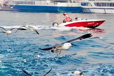 情绪价值拉满！@青岛人，快来包船出海解锁“浪姐”新剧本→