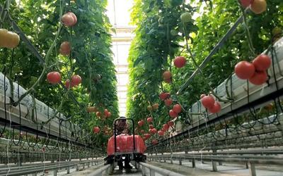 1个片区=几亿产值！山东乡村“抱团出道”，乡村振兴有了新解法