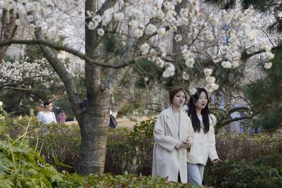 不负春光！全国踏青舒适度地图来了