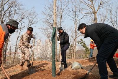 春暖植绿正当时！市南区开展2026年义务植树活动