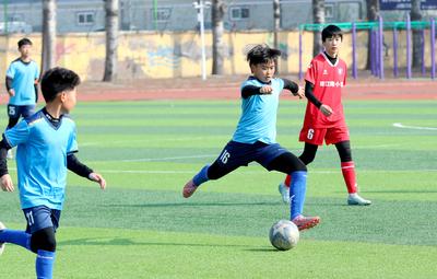 计划招生304人！青岛一区初中学校足球后备人才招生计划发布