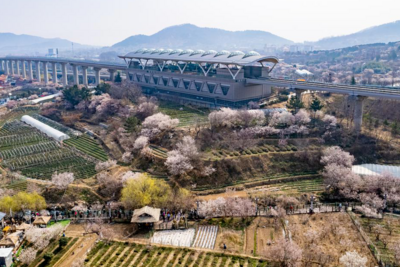 3月以来客流上涨近7成！“青岛最美地铁线”再次成为“春日顶流”