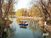 徜徉花海、泛舟湖上……城阳这处公园春光正好