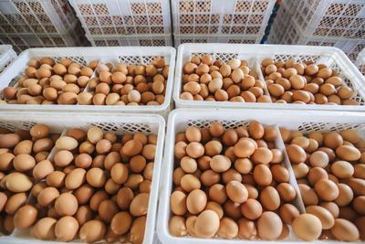 早餐吃够这类食物，能帮你减重、控血糖→