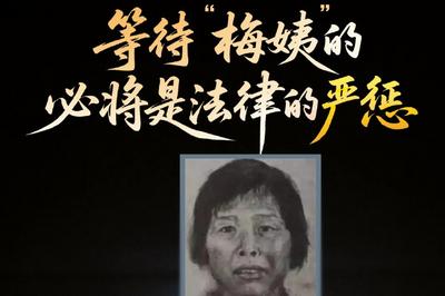 人民日报微博：等待“梅姨”的必将是法律的严惩