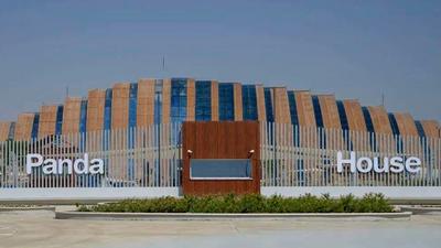 卡塔尔大熊猫馆负责人：“京京”和“四海”状况良好