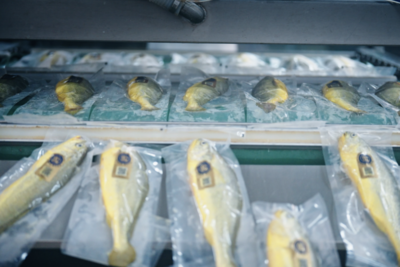 从陆海接力到全链协同，国信水产打造“品牌农业”新标杆