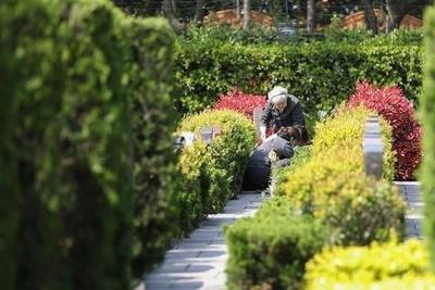 青岛市发布清明节文明祭扫倡议书