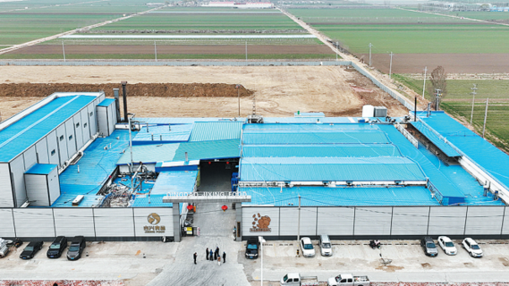 青岛：37个农业项目加速投建，现代化大产业增效富民