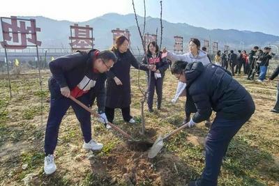 植树节来临，崂山区以一片新绿筑起守护群众“钱袋子”的安全屏障