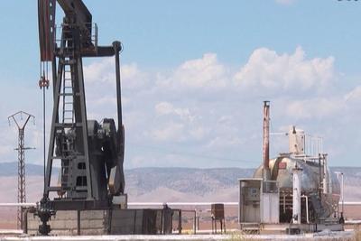 分析人士：美以伊战事将成为全球能源转型关键转折点