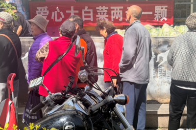 青岛爱心人士义卖8000余斤白菜，善款汇入微尘基金