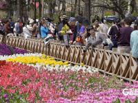 青岛中山公园：“郁”你有约