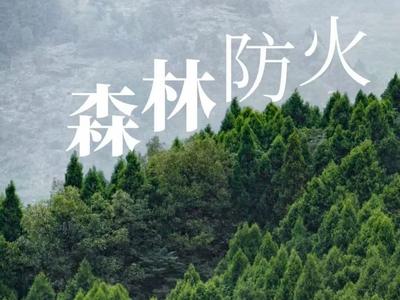 清明将至，谨记防火！森林护我家，防火靠大家