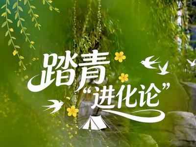 踏青“进化论”