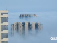 开启“仙境模式”！青岛再现平流雾景观