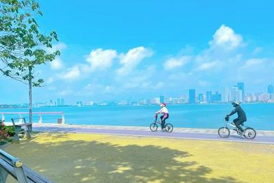 ​三大行动、九项任务精准发力！青岛启动重点区域市容环境综合整治提升行动