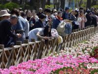 青岛中山公园：“郁”你有约