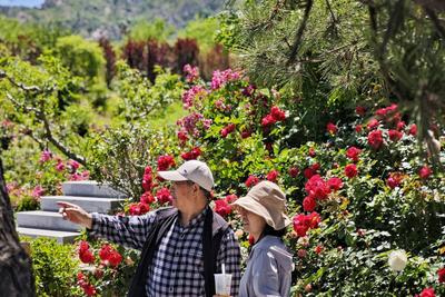 16-17日雨水“在线”，周末山东最高气温直冲30℃
