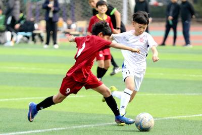 2026年崂山区初中校园足球特色学校足球后备人才招生计划公布