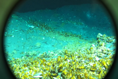 青企故事荟 | 青岛森科特：深海无人区的“清道夫”