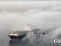 开启“仙境模式”！青岛再现平流雾景观