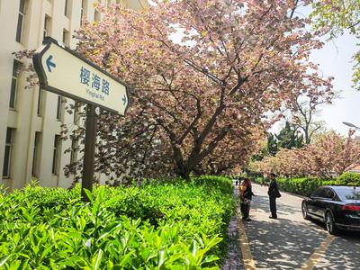 跨校上课，课程互选，石大向海大学生开放5门通识课程
