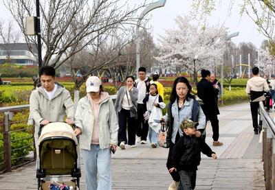 首个不调休的“春日黄金周”，更多游客选择长线游