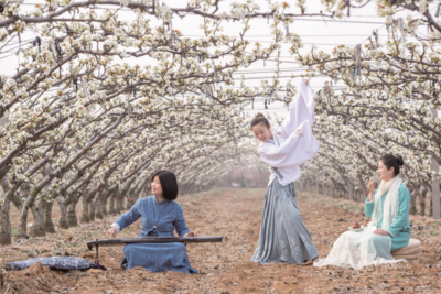 共赴“春日限定版”浪漫之约！莱西市第十一届梨花节本周六启幕