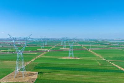 这一指标居全省首位，一季度青岛供电保障能力再升级