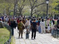 青岛中山公园：“郁”你有约